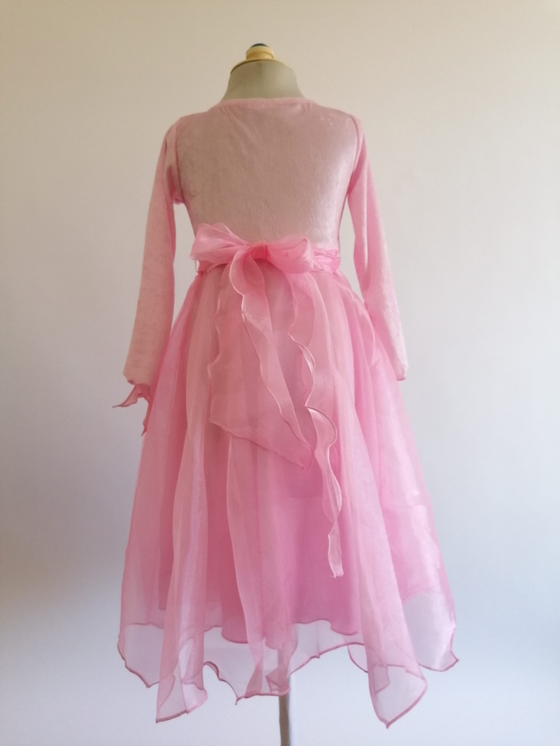 Long-sleeve Organza Dress - The Fairy Shop